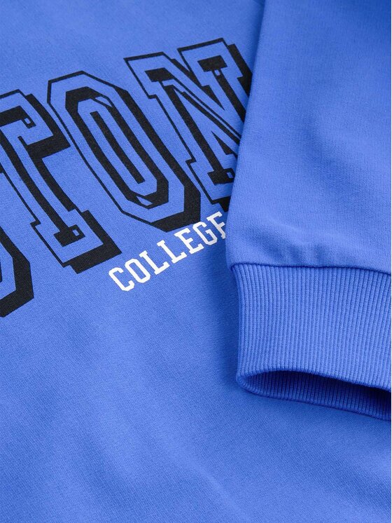 Coccodrillo Coccodrillo Sweatshirt ZC4132304VBA Blau Relaxed Fit