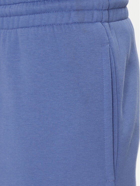 Reebok Reebok Pantaloni scurți sport Vector Pack Ri Logo 100202404 Albastru Regular Fit