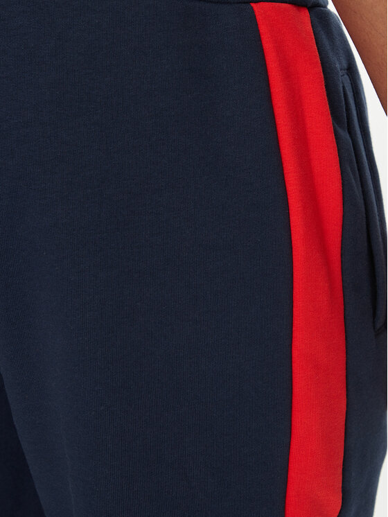 Ellesse Ellesse Спортивні шорти Turi SHR17435 Cиній Regular Fit