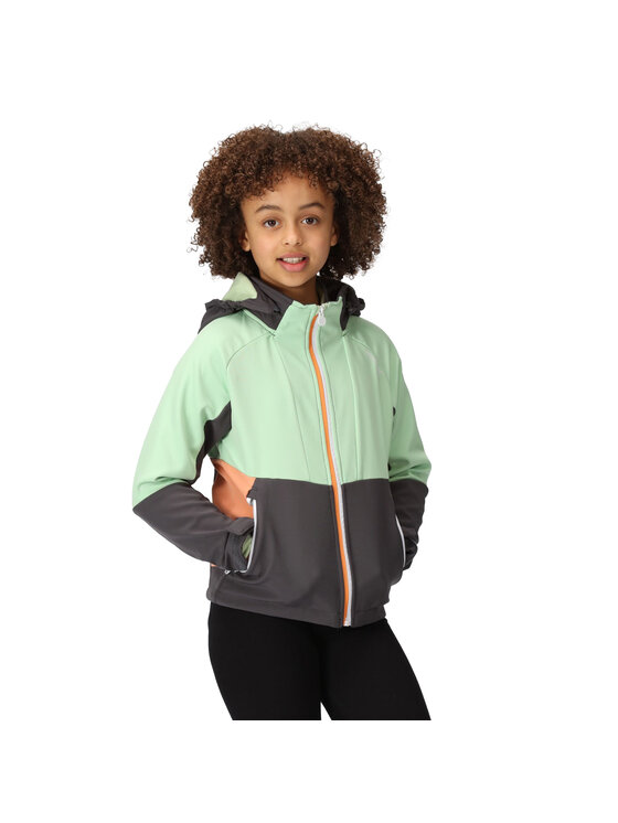 Regatta Regatta Kurtka outdoor Haydenbury Szary Long Fit