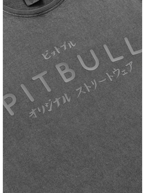 PITBULL PITBULL T-Shirt Koszulka męska Denim Washed MT. FUJI XL Szary Regular Fit