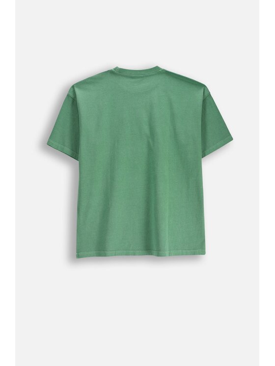 Coccodrillo Coccodrillo T-Shirt WC6143205IBJ-011 Zelená Regular Fit