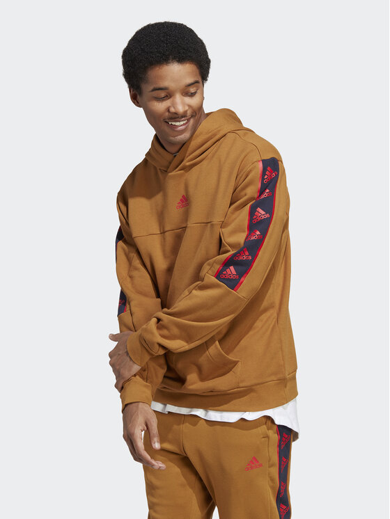 Felpa store adidas marrone