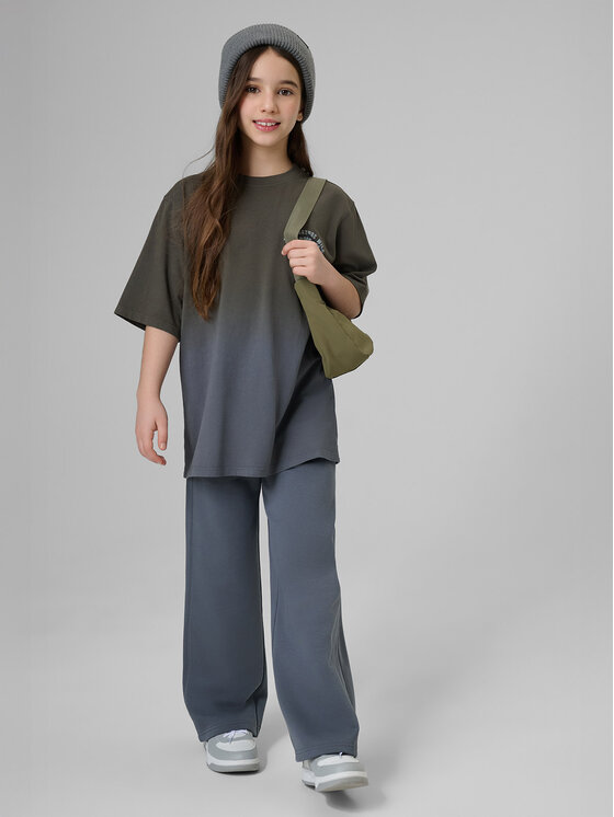 4F 4F Spodnie dresowe WILD WANDERLUST Szary ciemny Loose Fit
