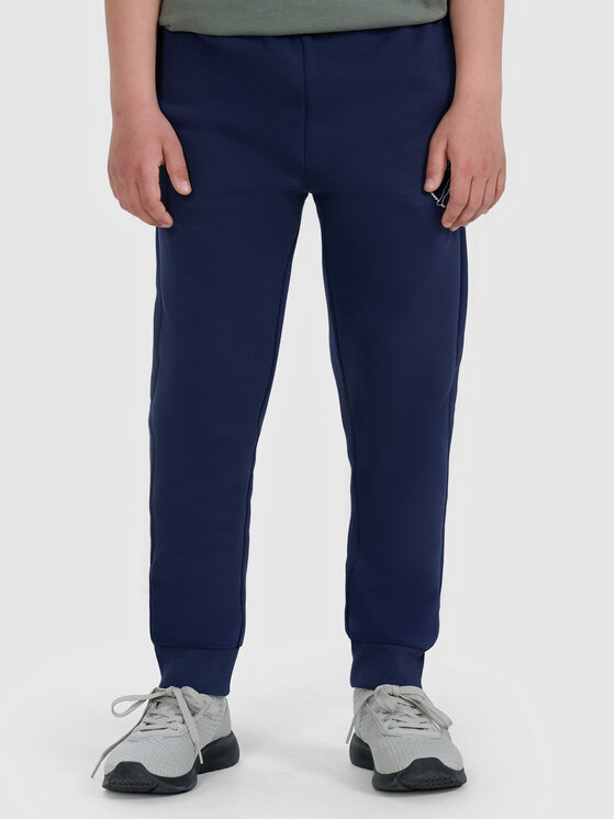 4F 4F Spodnie dresowe URBAN COMMUTER Granatowy Regular Fit