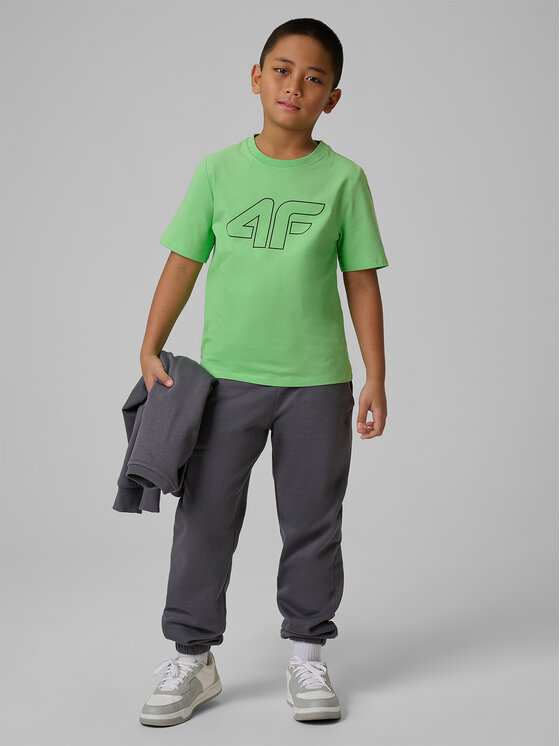 4F 4F T-Shirt BASIC+ Zielony Regular Fit