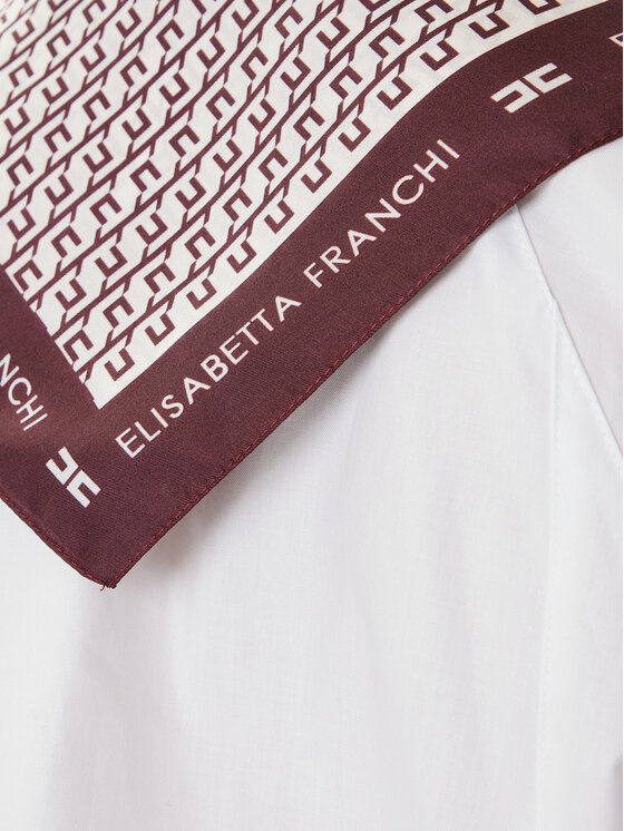 Elisabetta Franchi Elisabetta Franchi Eșarfă FO-15F-56E2-V80 Vișiniu