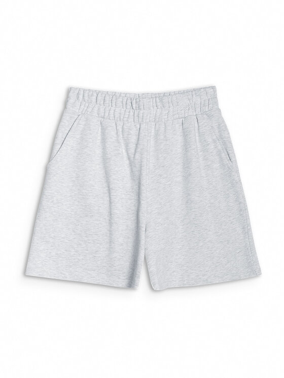 4F 4F Szorty sportowe NOS Szary jasny Regular Fit