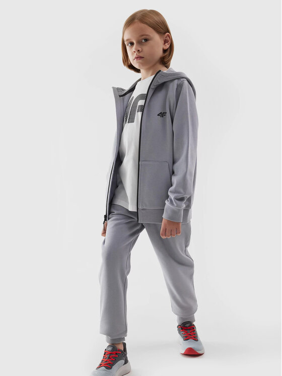 4F 4F Bluza 4FJAW23TSWSM627 Niebieski Regular Fit