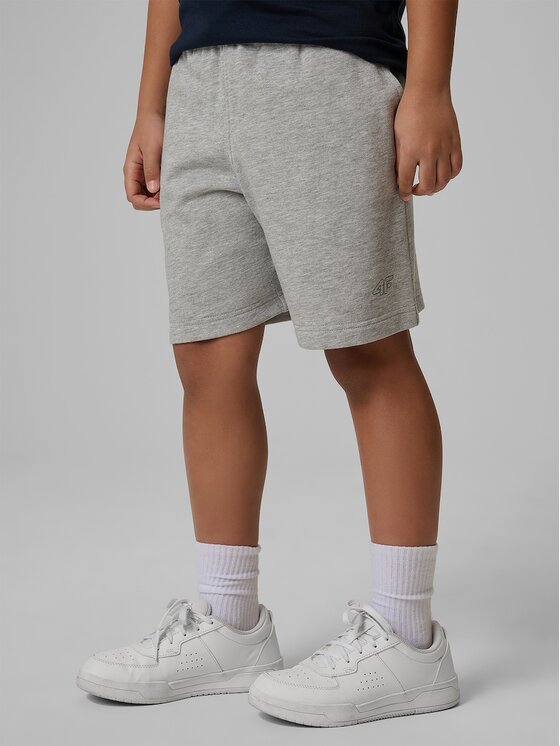 4F 4F Szorty sportowe BASIC+ Szary Regular Fit