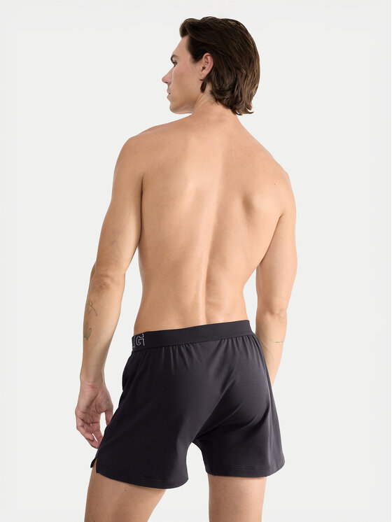 Sloggi Sloggi Boxer 10215473 Grigio