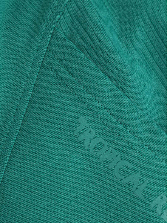 Coccodrillo Coccodrillo Spordišortsid WC5120502TBJ Roheline Regular Fit