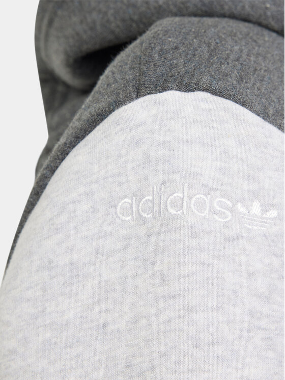 adidas adidas Džemperis ar kapuci adicolor IN3981 Pelēks Regular Fit