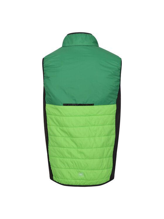 Regatta Regatta Kurtka outdoor Halton VII Zielony Ergonomic Fit