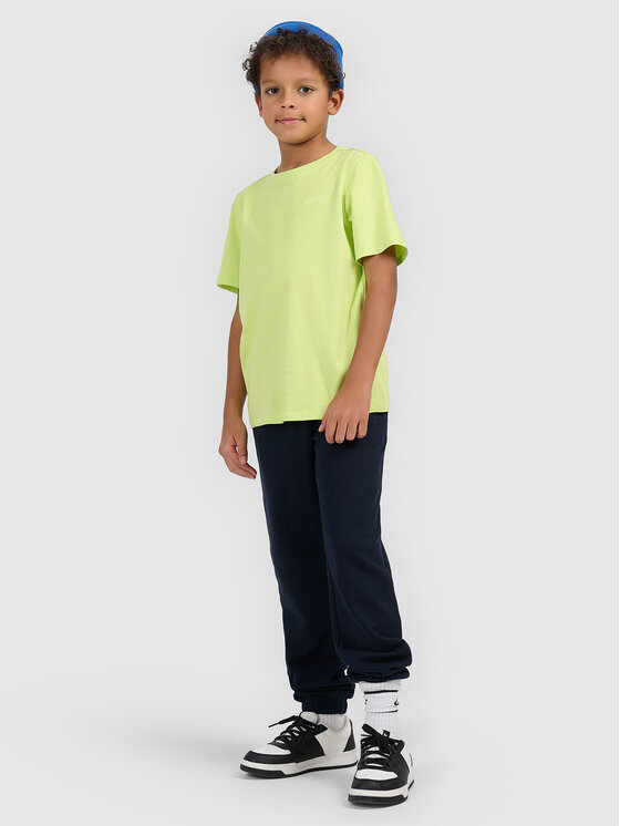 4F 4F T-Shirt BASIC+ Zielony Regular Fit