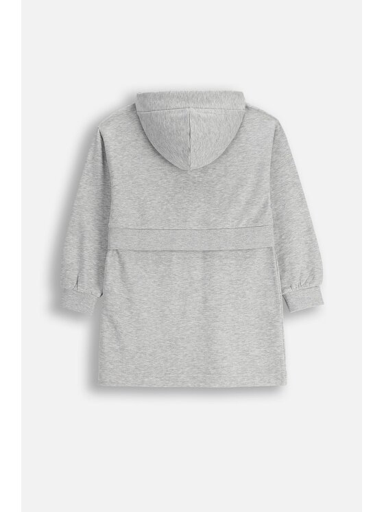 Coccodrillo Coccodrillo Šaty ZC5129102RGJ-019 Sivá Regular Fit