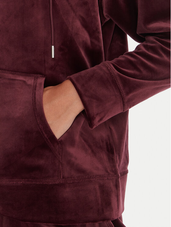 DKNY Sport DKNY Sport Džemperis ar kapuci DP5J9634 Bordo Regular Fit