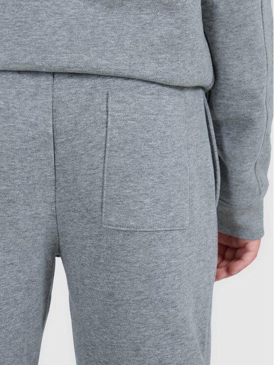 4F 4F Spodnie dresowe BASIC+ Szary Regular Fit