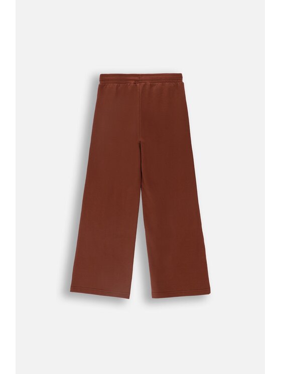 Coccodrillo Coccodrillo Spodnie dresowe ZC4120102RGJ-018 Brązowy Wide Leg