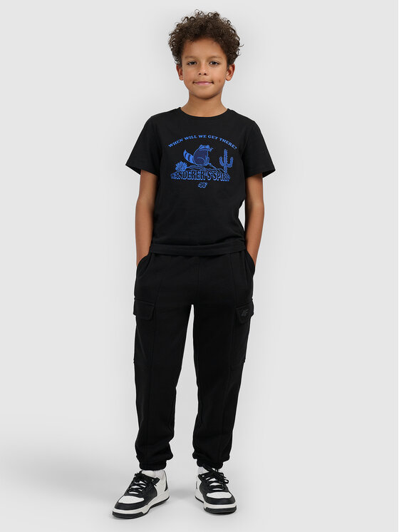 4F 4F T-Shirt HIKING TRIP Czarny Regular Fit