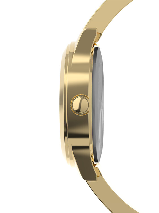 Timex Timex Pulkstenis Main Street TW2Y39300 Zelta