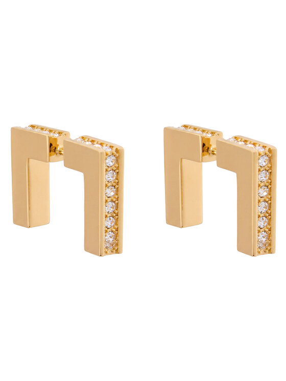 Elisabetta Franchi Elisabetta Franchi Kõrvarõngad OR-26K-61E2-V230 Kuldne