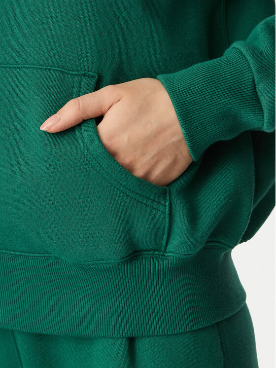 Polo Ralph Lauren Polo Ralph Lauren Sweatshirt 211971699503 Grün Regular Fit