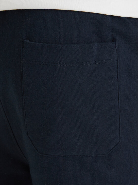 Quiksilver Quiksilver Αθλητικό σορτς EQYFB03372 Σκούρο μπλε Regular Fit