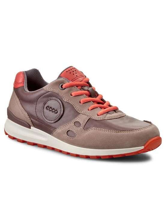 Ecco cs14 2025