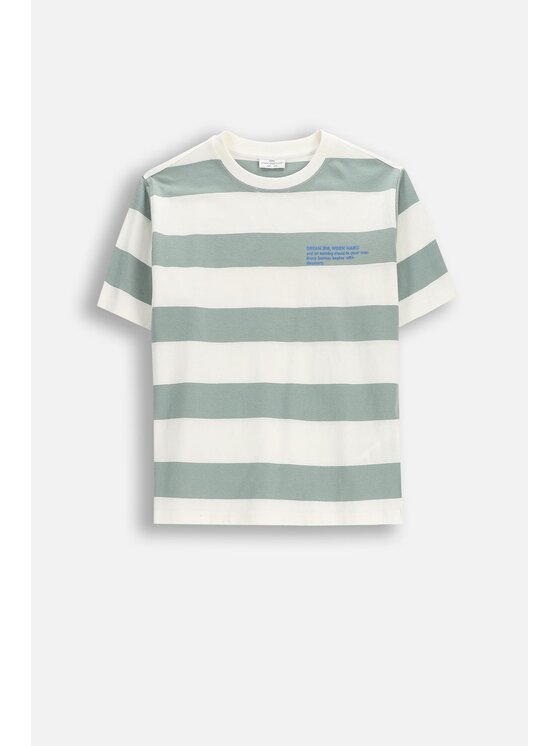 Coccodrillo Coccodrillo T-Shirt WC6143206NBJ-011 Zelená Regular Fit