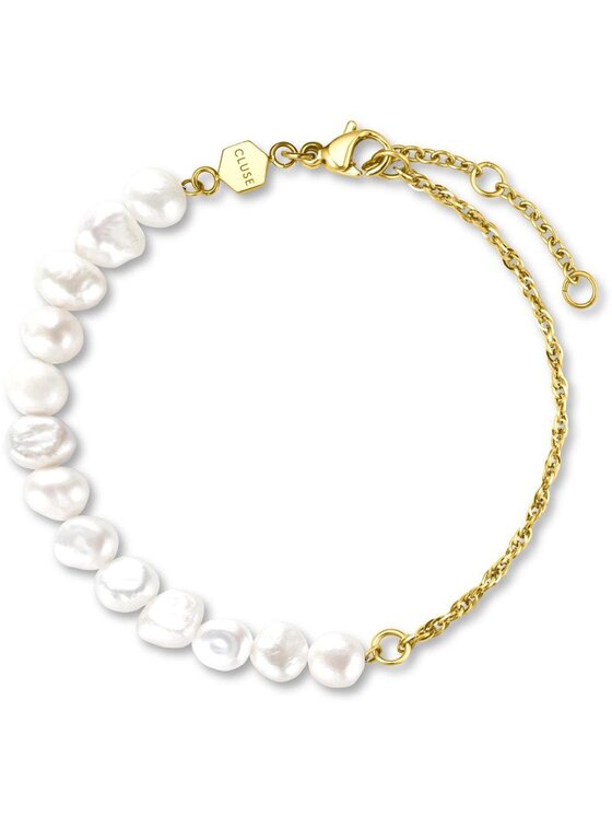 Cluse Cluse Hodinky CG10119 Stříbrná