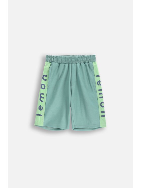 Lemon Explore Lemon Explore Szorty WL5120502ACB-012 Zielony Regular Fit