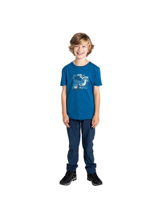 Dare2B Dare2B T-Shirt Trailblazer II Niebieski Short Fit