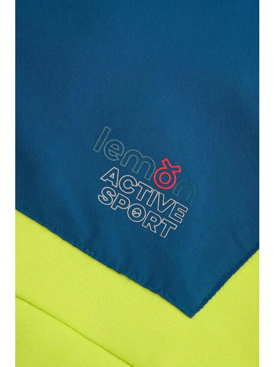 Lemon Explore Lemon Explore Bluza ZL5132601ACB-004 Żółty Regular Fit