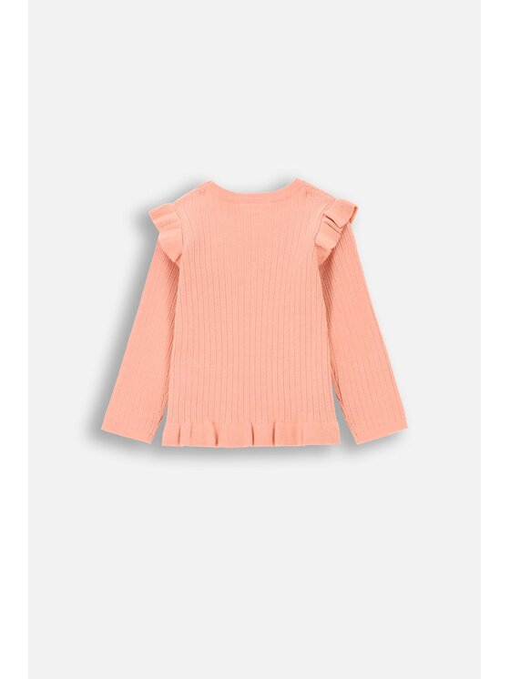 Coccodrillo Coccodrillo Sweter ZC4172102PGN-006 Pomarańczowy Regular Fit