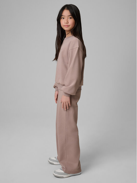 4F 4F Spodnie dresowe BASIC+ Beżowy Regular Fit