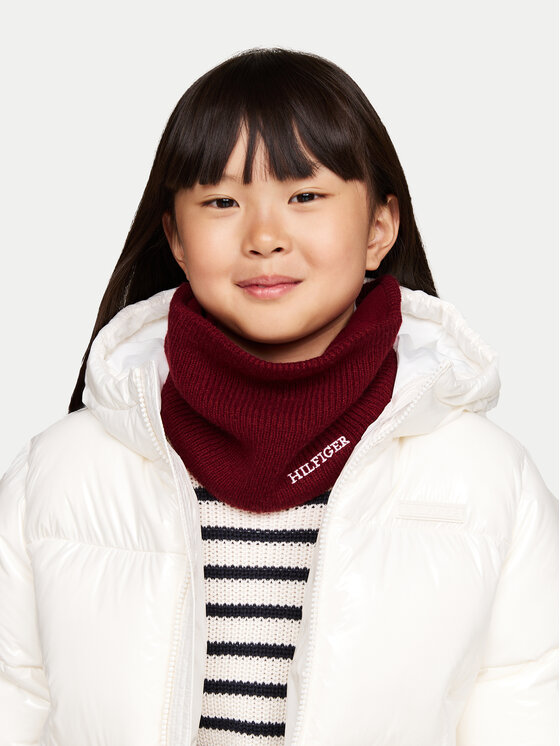 Tommy Hilfiger Tommy Hilfiger Loop-Schal AU0AU01933 Rot