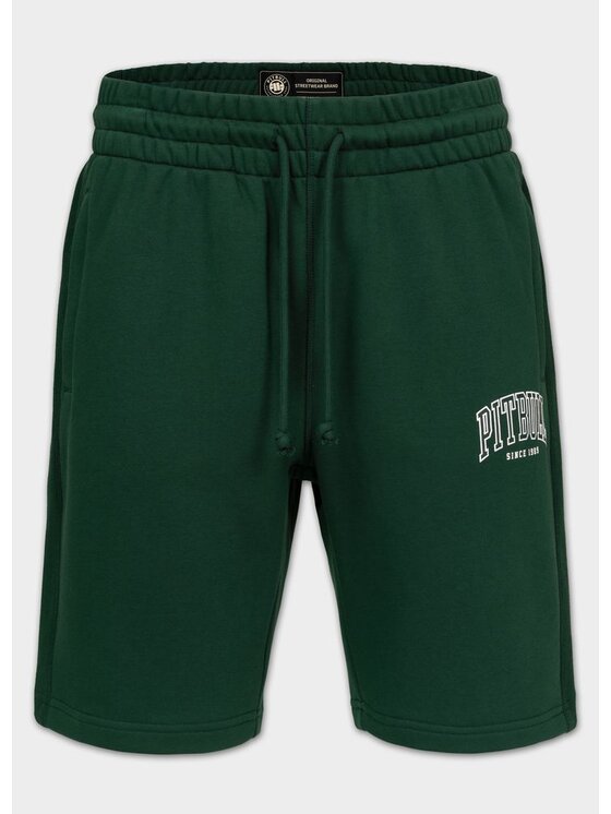 PITBULL PITBULL Szorty sportowe BADGER Zielony Regular Fit