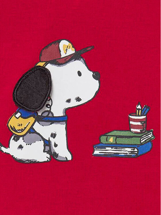 Completo maglietta e pantaloni 2572 Multicolore