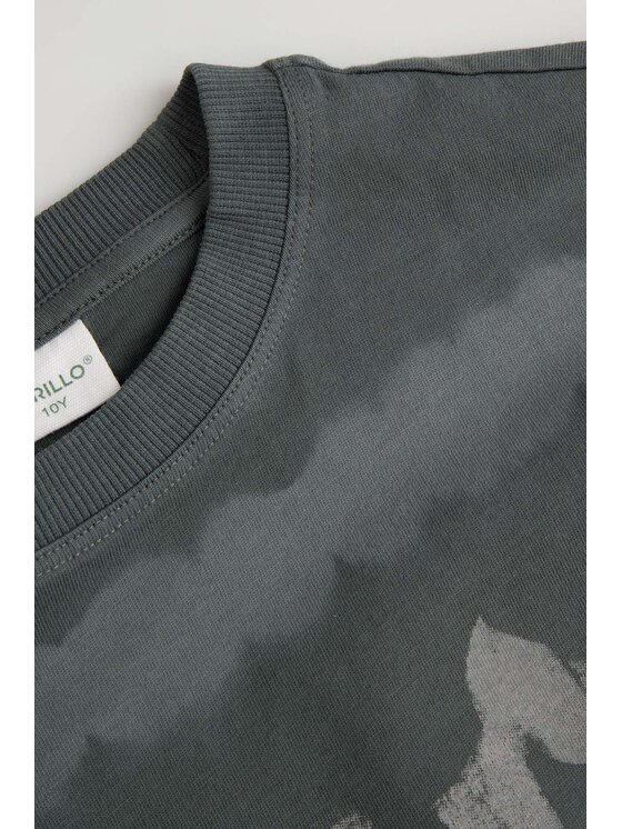 Coccodrillo Coccodrillo T-Shirt ZC6143201RBJ-020 Szary Regular Fit