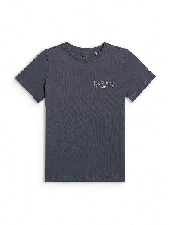 4F 4F T-Shirt WILD WANDERLUST Szary ciemny Regular Fit