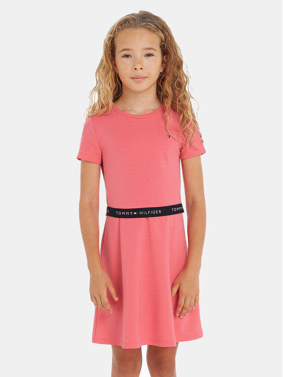 Tommy Hilfiger Tommy Hilfiger Ежедневна рокля Essential Skater KG0KG07776 D Розов Regular Fit