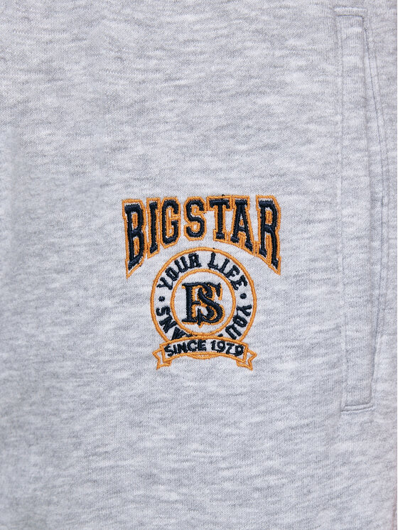 BIG STAR BIG STAR Spodnie dresowe LIRONP Szary Basic Fit