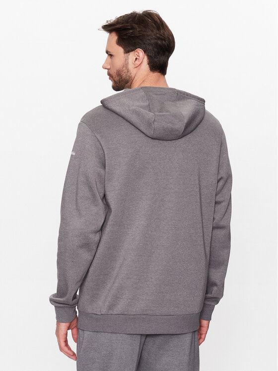 Felpa Csc™ Graphic 2040621 Grigio Regular Fit
