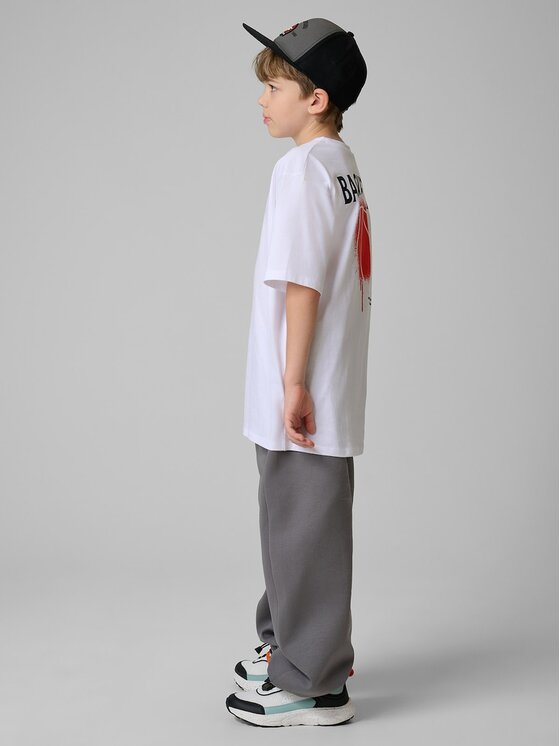 4F 4F Spodnie dresowe STREET SPORT Szary Loose Fit