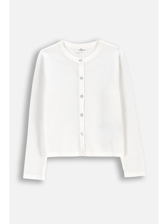 Coccodrillo Coccodrillo Sweter WC6172205EJG-001 Biały Regular Fit