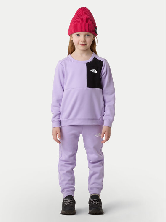 The North Face The North Face Jogginganzug Performance NF0A8CV0 Violett Regular Fit