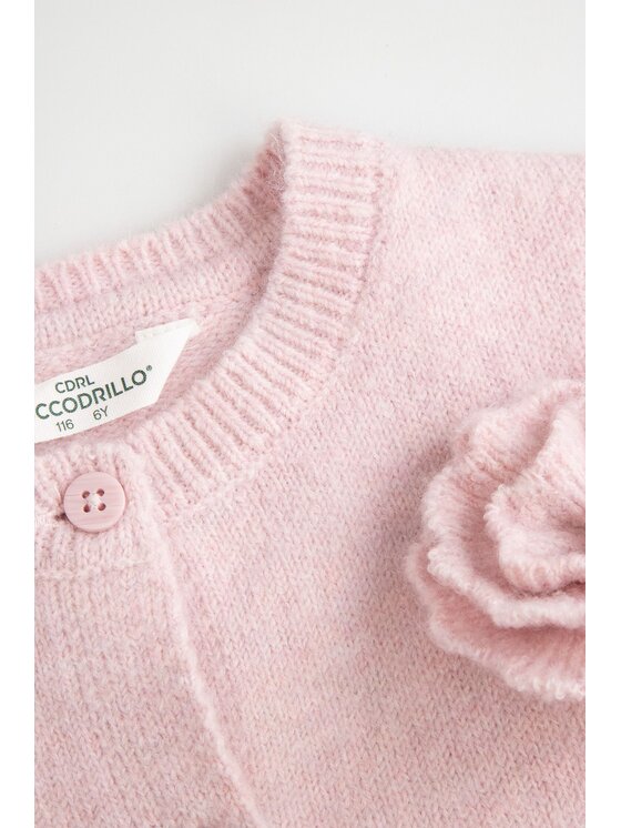 Coccodrillo Coccodrillo Sweter ZC6172202WGK-033 Różowy Regular Fit