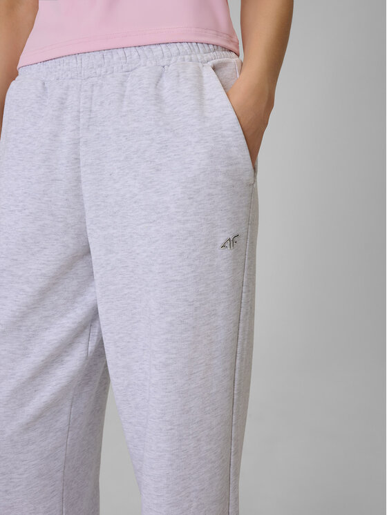 4F 4F Spodnie dresowe basic Szary jasny Regular Fit