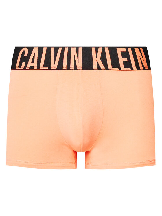 Calvin Klein Underwear Calvin Klein Underwear Set od 3 para bokserica Trunk 3Pk 000NB3608A Šarena